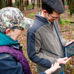 Small Forests, Big Carbon