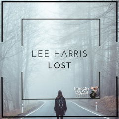 Lee Harris - Lost (Original Mix)