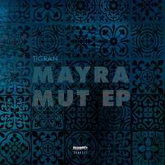 SRMR222 : Tigran - Hov Sarer (Original Mix)