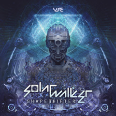 Solar Walker - Radhe (Original Mix)