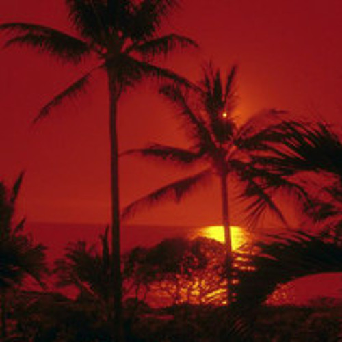 butterfly enclosure vibes