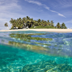 Viiviiga o Malie (Laauli ma le Aumaga)