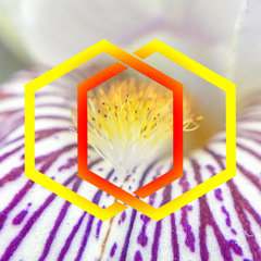 The Parish News #197 - Friday 17th July 2020