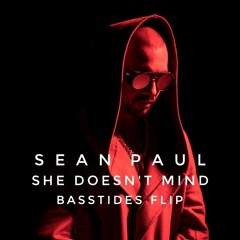 Sean Paul - She Doesn't Mind ( Basstides Festival Mix )
