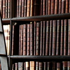 Destiny 2 Lore Book: A Drifter's Gambit - Step in the Shade & Artifacts and Old Friends