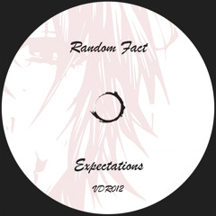 VDR012 : Random Fact - Expectations (Original Mix)