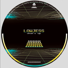 Lowjess - What's Up (SPACEINVADERS29)