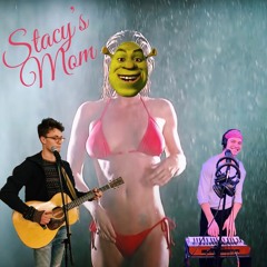 Stacys Mom (Acoustic)