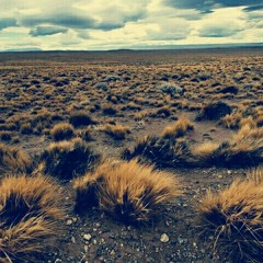 Poesía nro 26. del libro «Aquí en las Pampas el Toro por las Astas es la Dicha» ed.2013