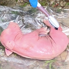 Cracking interdimensional travel