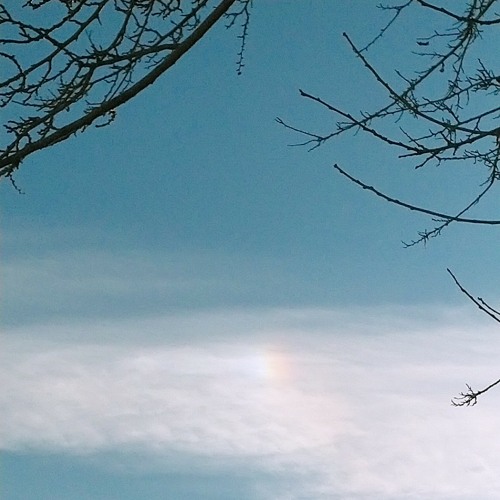 Mohsen Yeganeh - Adamha(UpMusic).mp3