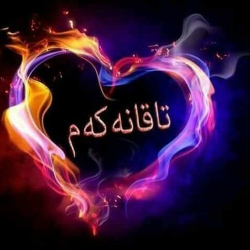 سمیرا کارزان - تاقانه که م