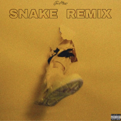 Snake Remix