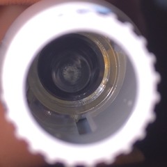 Smith, McCann & Dawson - Glasses