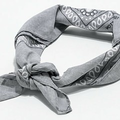 ("Lil-Ant-Ski")WeOwnTheNight.SoonerThanLater-DropTopBandaCapita-Pour'dKoolaid.mp3