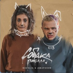 Rozalia & Эльдар Джарахов - собака писала