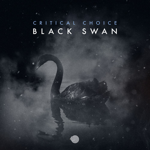 Stream Critical Choice - Black Swan (Original mix)- Out Now! by  IbogaRecords | Listen online for free on SoundCloud