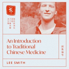 01: An Introduction to Traditional Chinese Medicine, with TCM Dr. Lee Smith