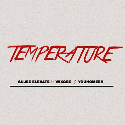 Temperature_sujee_ft_youngmeer_X_wixgee