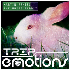 Martin Reniec - Metacortex (Original Mix) CUT