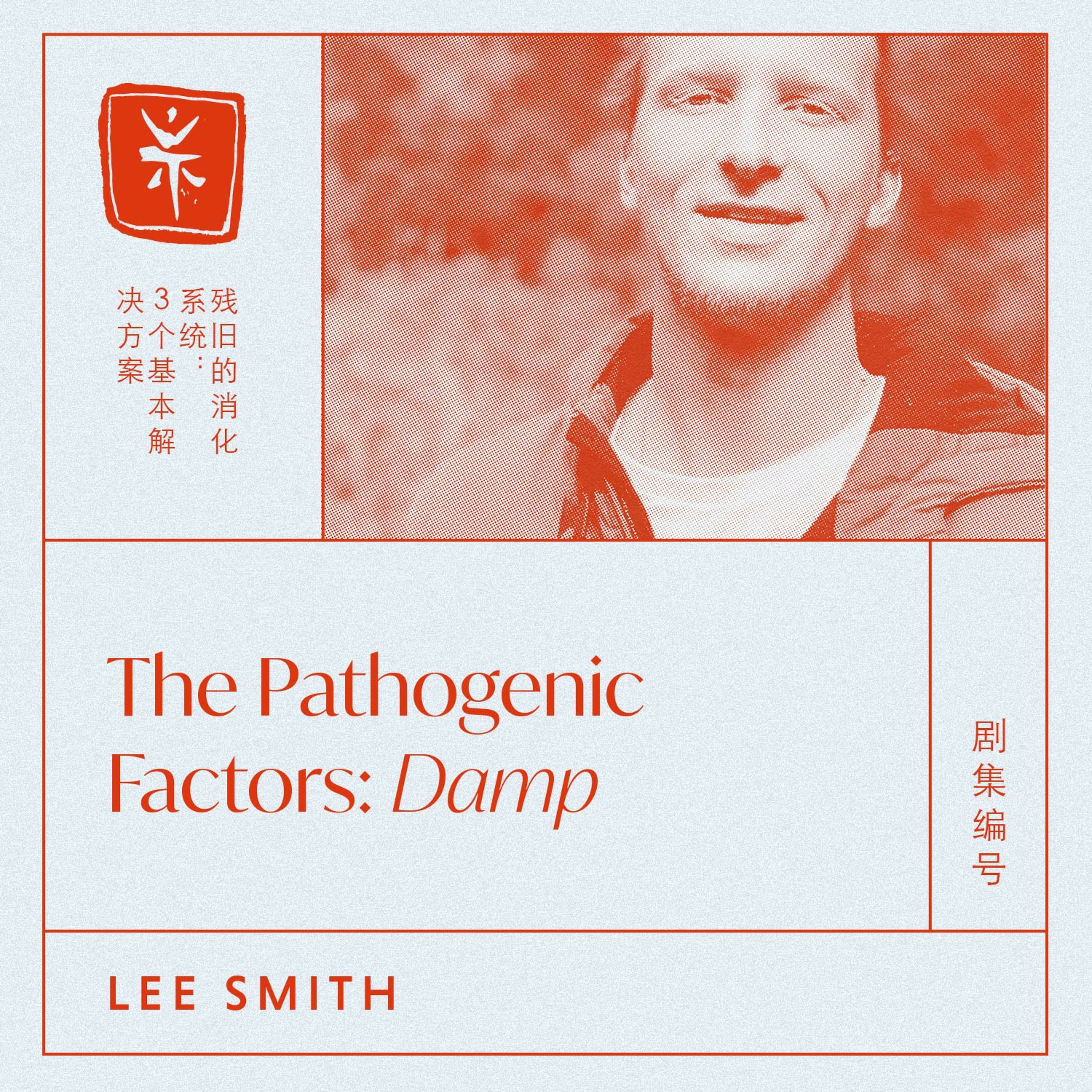 03: The Pathogenic Factors: Damp, with TCM Dr. Lee Smith episode artwork
