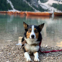 Untitled master  | made on the Rapchat app (prod. by Smilin Beats)