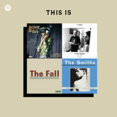 Best of John Peel Sessions