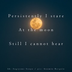 naviarhaiku343: persistently I stare