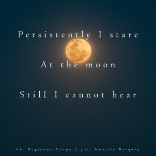 naviarhaiku343: persistently I stare