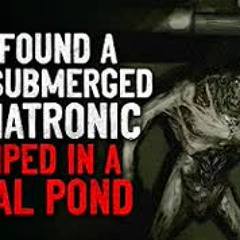 "We found a half submerged animatronic dumped in a local pond" Creepypasta