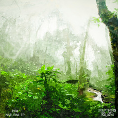 DC Promo Tracks #637: Bixi "Phanta"