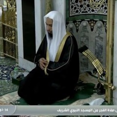 تلاوة لسورة القلم للشيخ أحمد طالب فجر الأربعاء ١٤-١٢-١٤٤١هـ