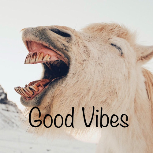 Good Vibes