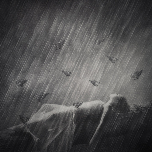 Lost Through The Rain