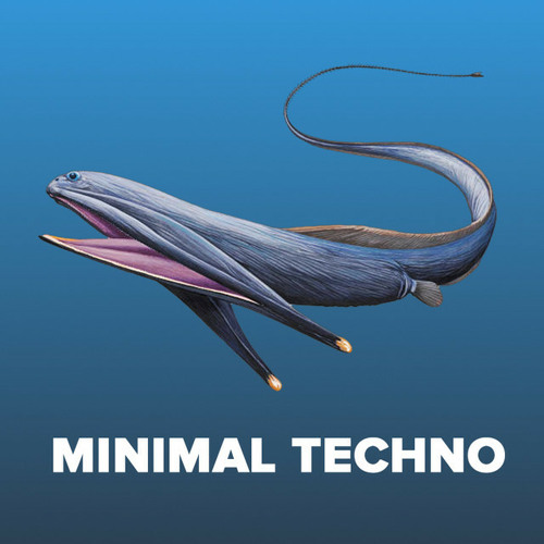 Minimal Techno