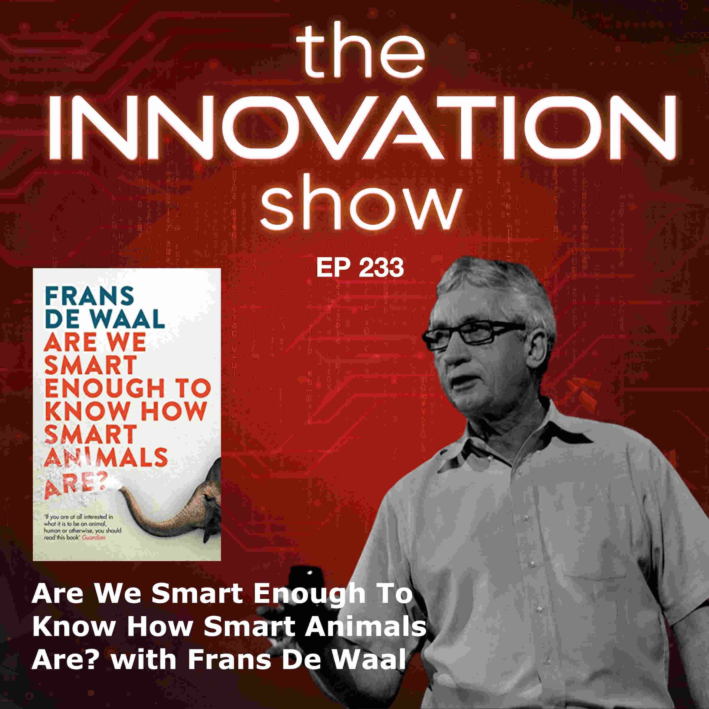 The Innovation Show