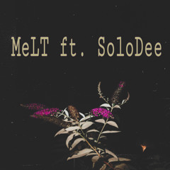 MeLT ft.SoloDee