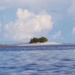 Luwalei - Island Brothers