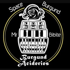 Mr°Bibite - Space Burgund 🐌🚀🐌(Extract Live)  (No Mastered)