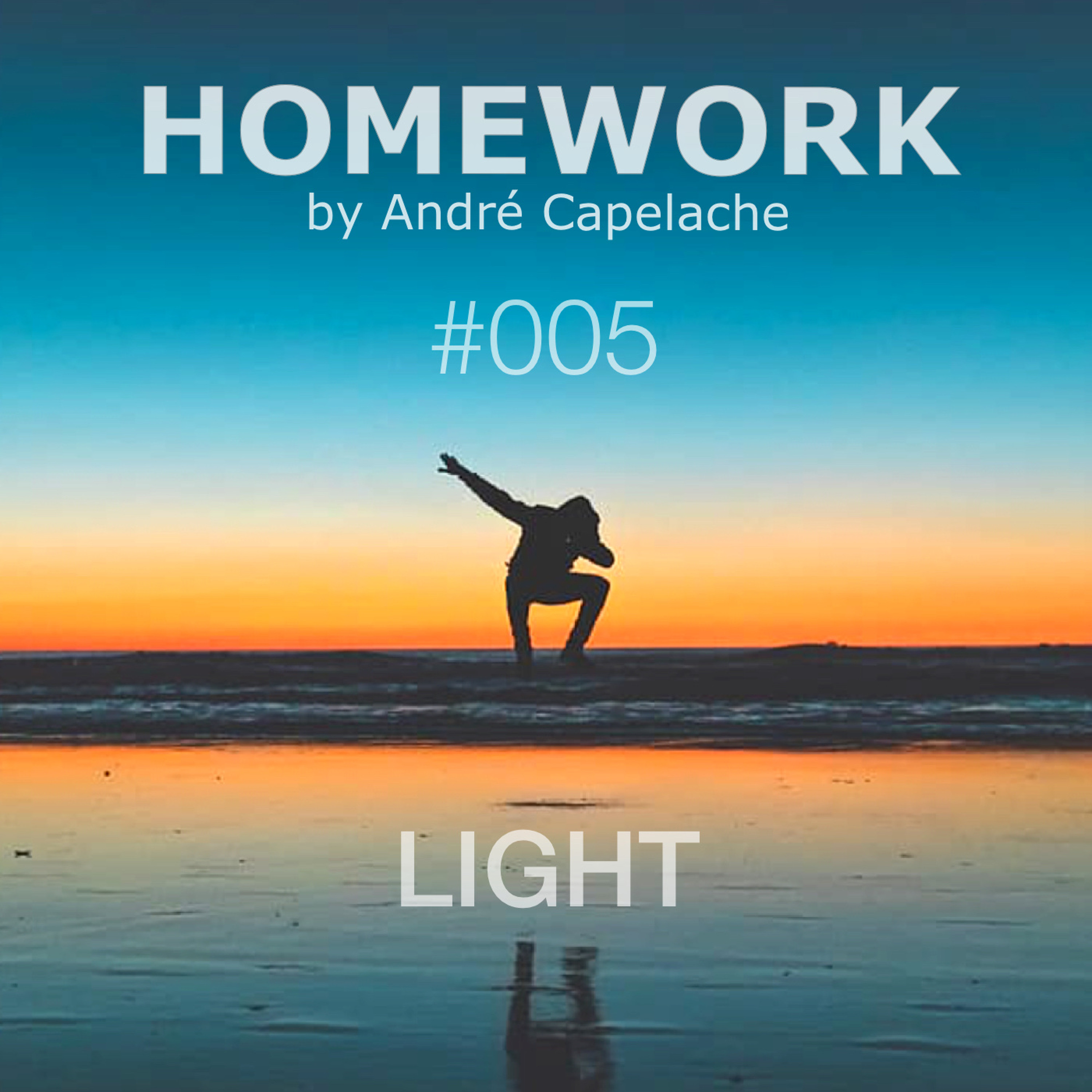 André Capelache HOMEWORK