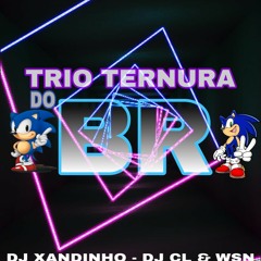 == 9 MINUTINHOS DO TRIO TERNURA DO BR( (DJ XANDINHO DJ CL & WSN) )163BPM 2020.mp3