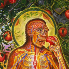 ॐ Psychedelic Trance Fruits ॐ