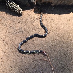 Oooh a brick...smashes car window with brick