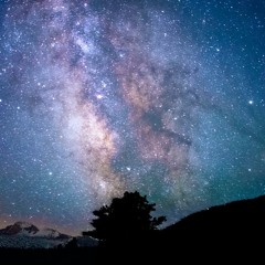 GClizzy- Let You Down (Official Audio) Prod. Tyler Gifted