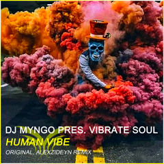 SHM072 : DJ Myngo Pres. Vibrate Soul - Human Vibe (AlexZideyn Remix)