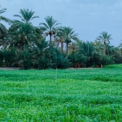رعبوب نورة علي بن روغة  at الزيدي