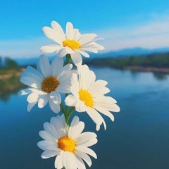 صد بعد الي ‏جرى بيني وبينه علي بن روغة at الزيدي