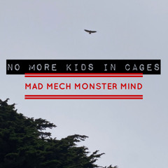 No More Kids in Cages