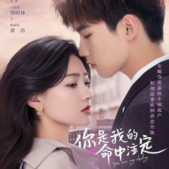 OST. You Are My Destiny | 你是我的命中注定 OST [Full OST]