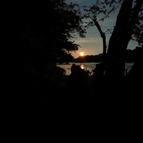 Stream Shallow Shadow by snailbozz | Listen online for free on SoundCloud